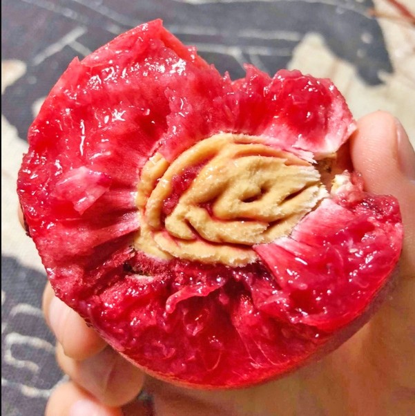 桐柏正宗朱砂红桃桃子红心桃脆多汁水蜜桃血桃桃