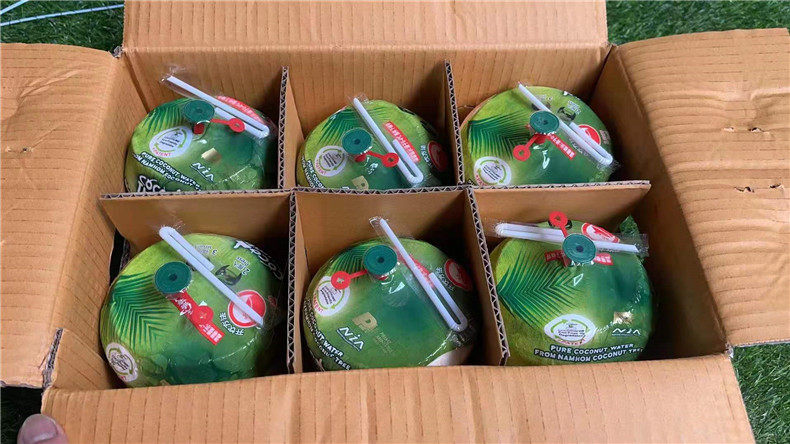 泰国进口易开宝网红coco椰子新鲜易拉罐地雷香水椰青