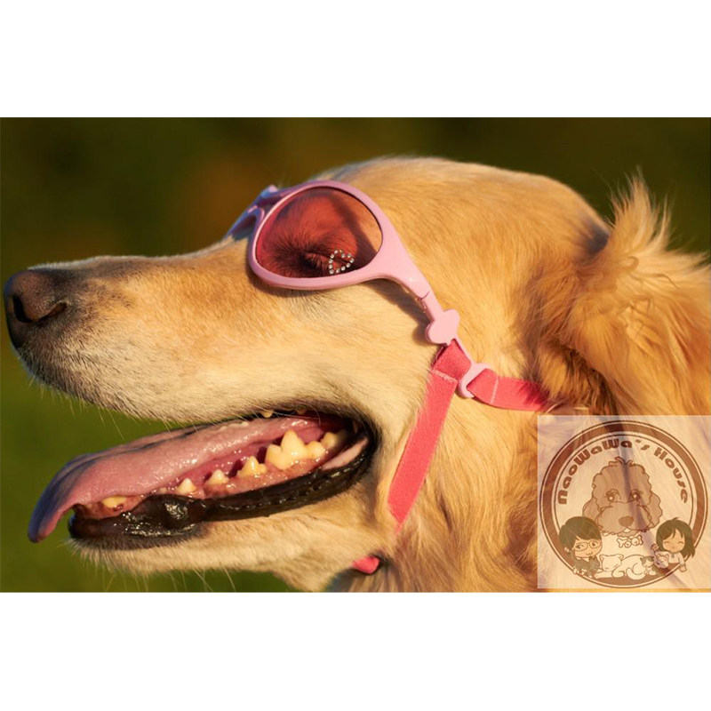 doggles宠物眼镜眼镜狗狗狗墨镜泰迪金毛法斗护目其它服饰配件