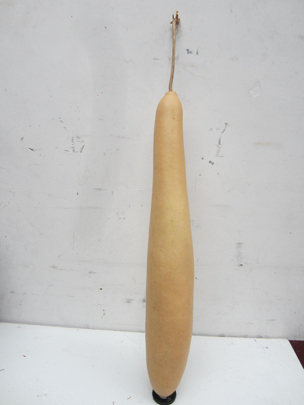 葫芦天然异形瓜条大棒棒子现货5号葫芦