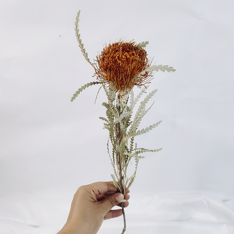黄金佛塔进口干花天然真花高端装饰文艺复古干花
