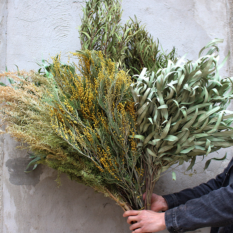 圣诞金合欢小米米果森系复古北欧装饰干枝干花干花