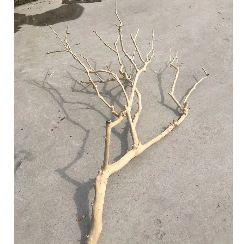 干树枝原木去皮衣架艺术造型干枝摆设创意家居摆件室内装饰枯树杆