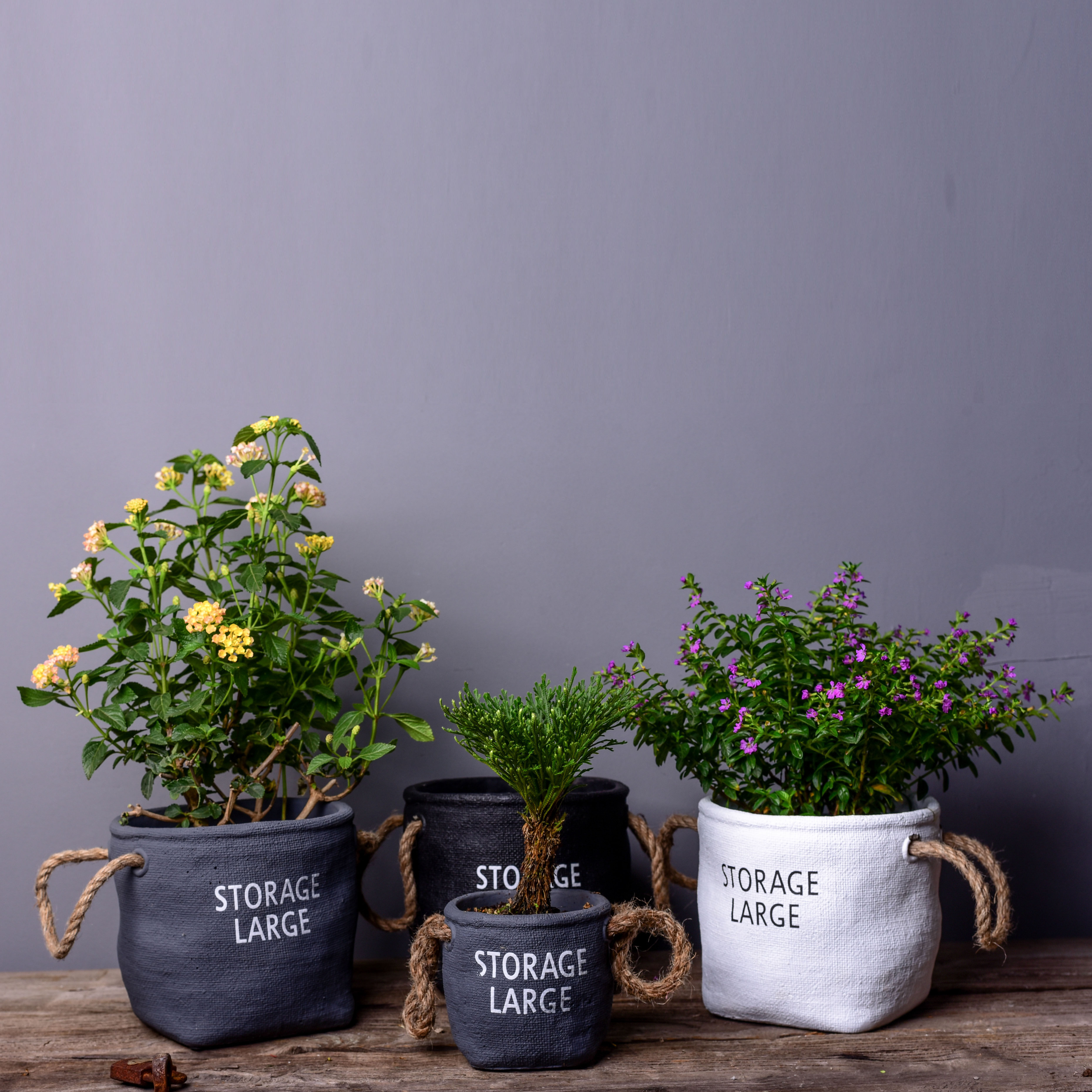 水泥带麻绳圆形花盆大号小号北欧ins风简约花器绿植盆栽多肉植物