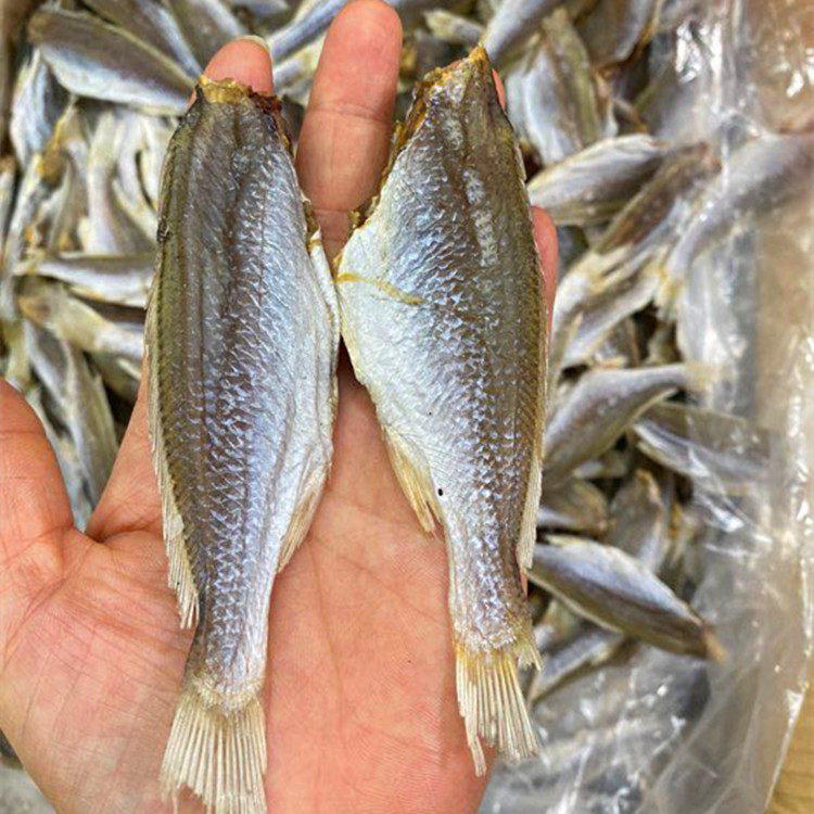 包邮自晒小黄鱼干本港咸鱼干下饭下粥或鱼海产干货500克装