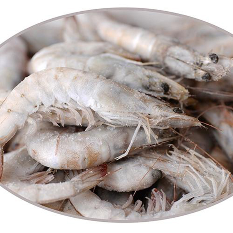 厄瓜多尔白虾新鲜活海虾2kg进口南美虾大冻虾