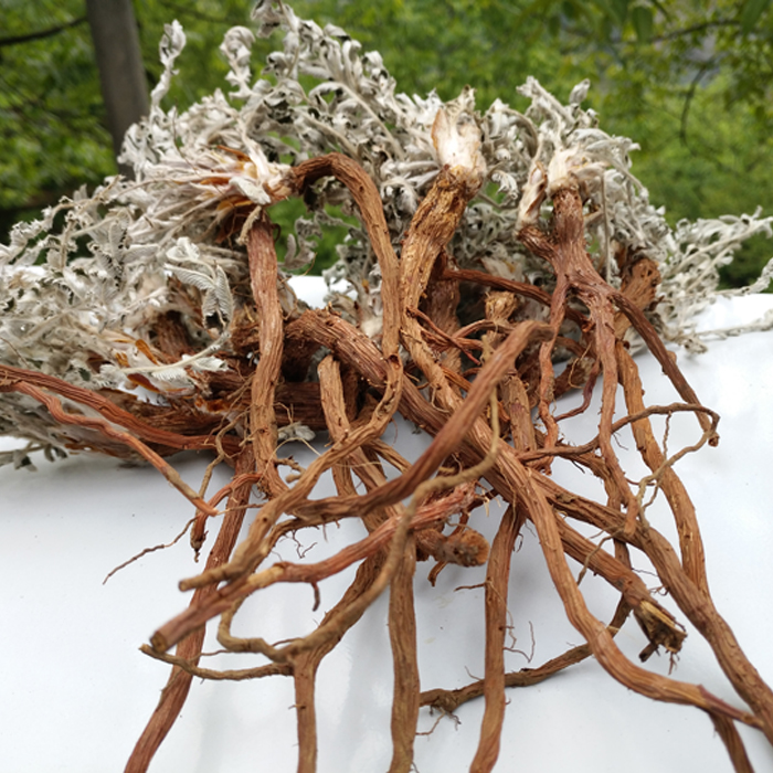 野生翻白草整棵带根有根干货贵州野生翻白草反白叶一斤500g可打粉