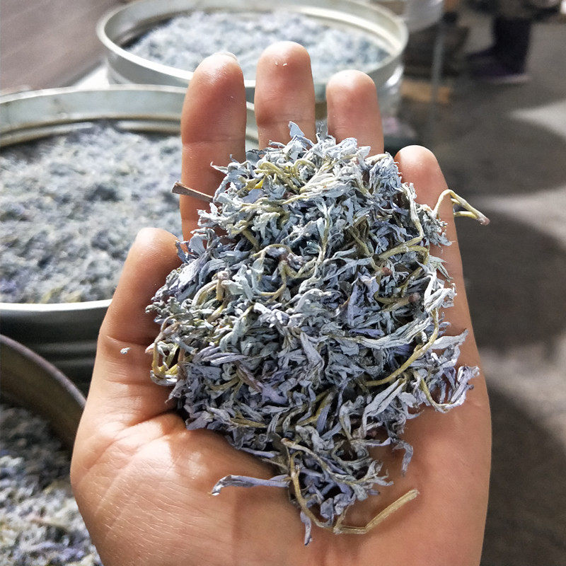 三江藤茶广西柳州特产2022年新茶高山云雾野生特色产区绿茶