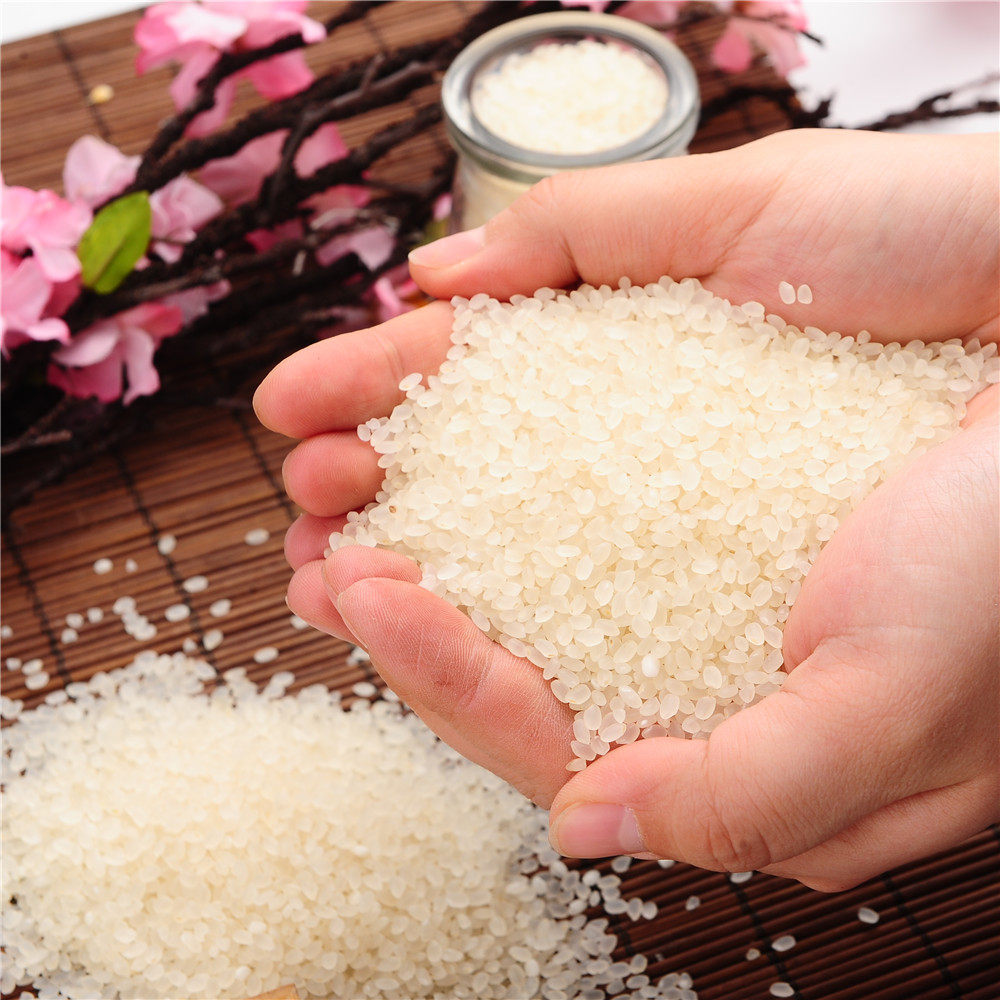 东北吉林秋田小町大米5kg(10斤) 秋收新寿司大米 包邮