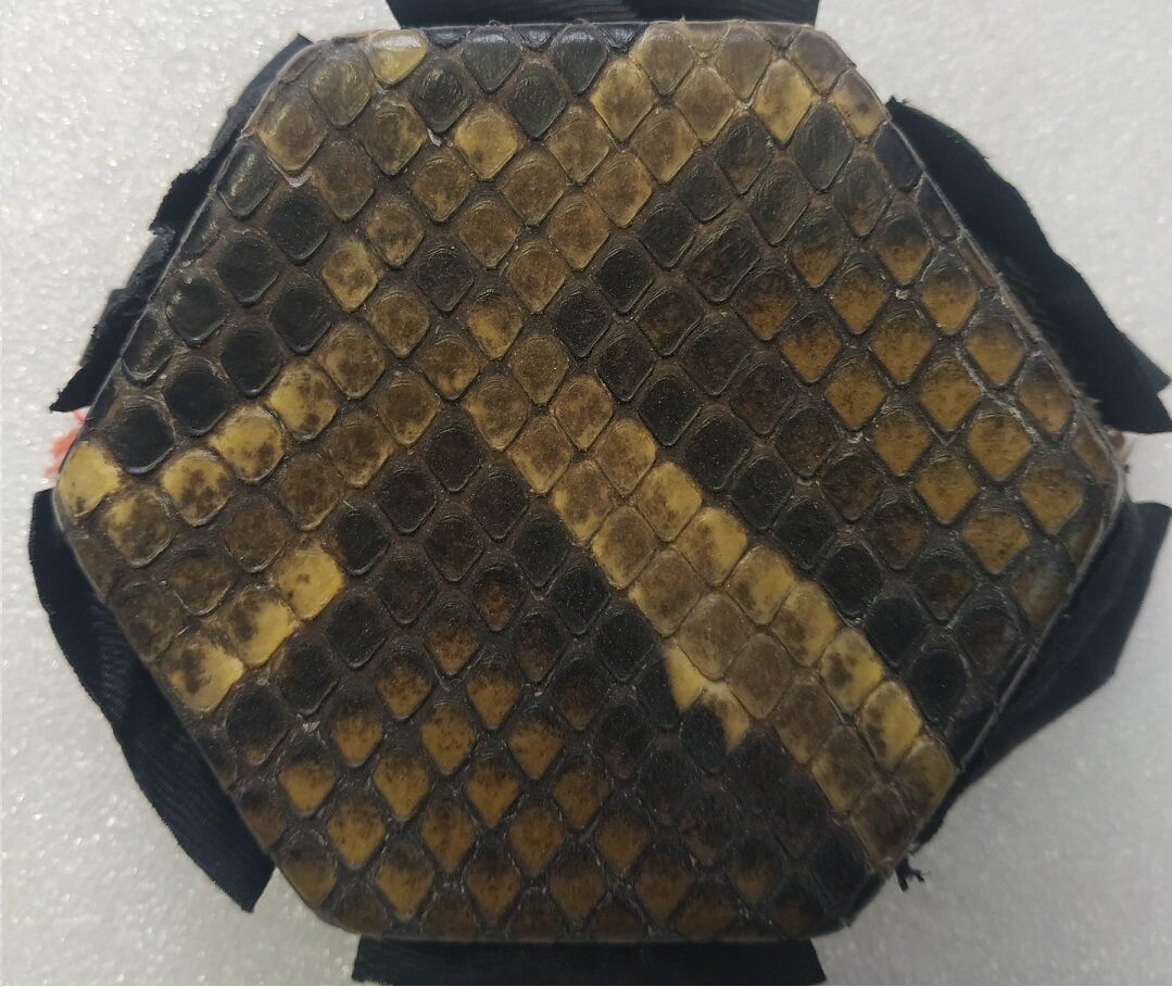 二胡手工蒙皮维修换皮看图选皮中胡高胡三弦二胡