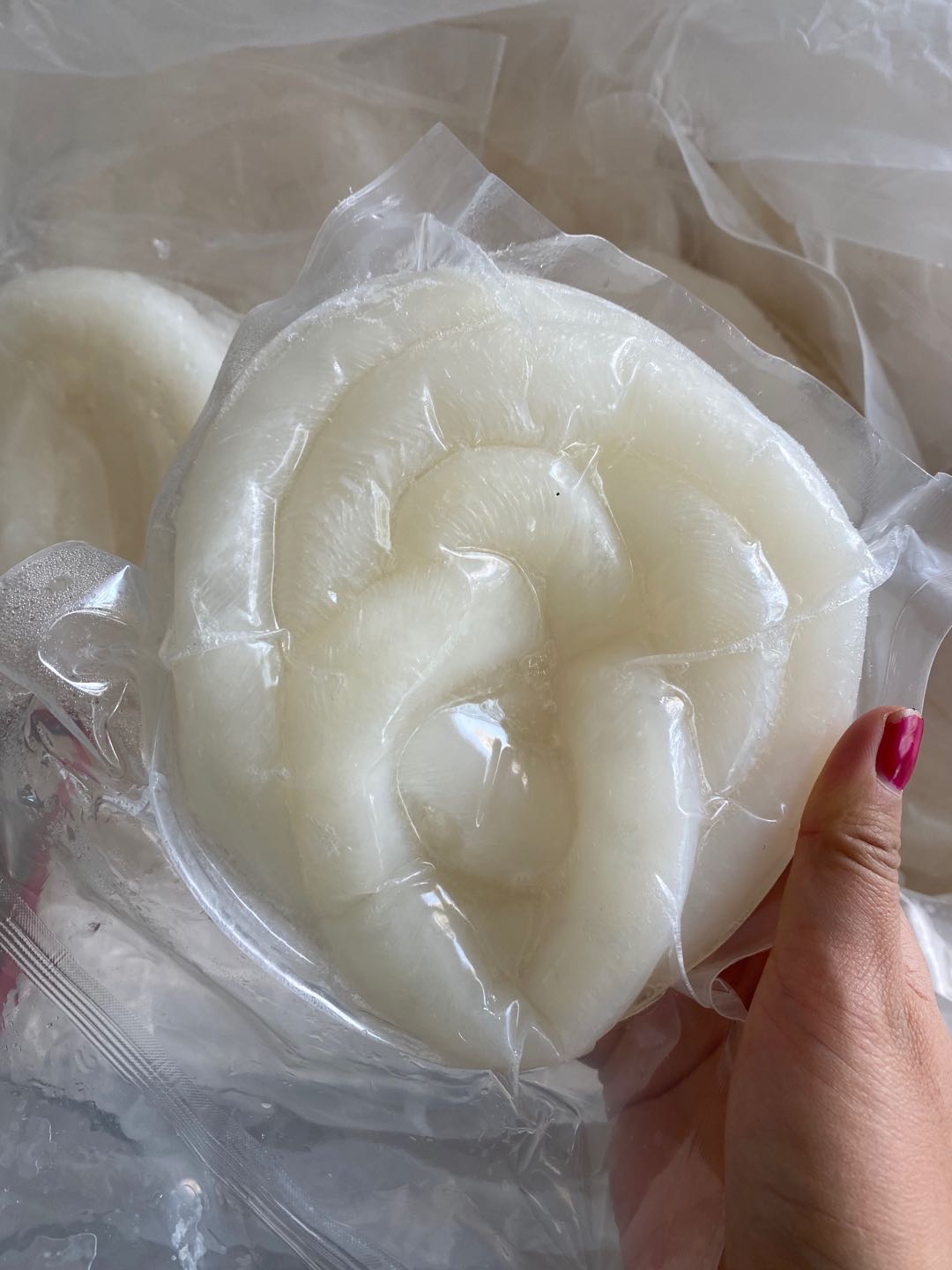 鲟鱼龙筋软骨鳇鱼鱼筋鱼骨五百百克淡水鱼类