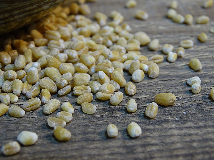 【麦仁米】农家去皮小麦麦仁500g脱皮新小麦仁米杂粮颗粒煮粥材料