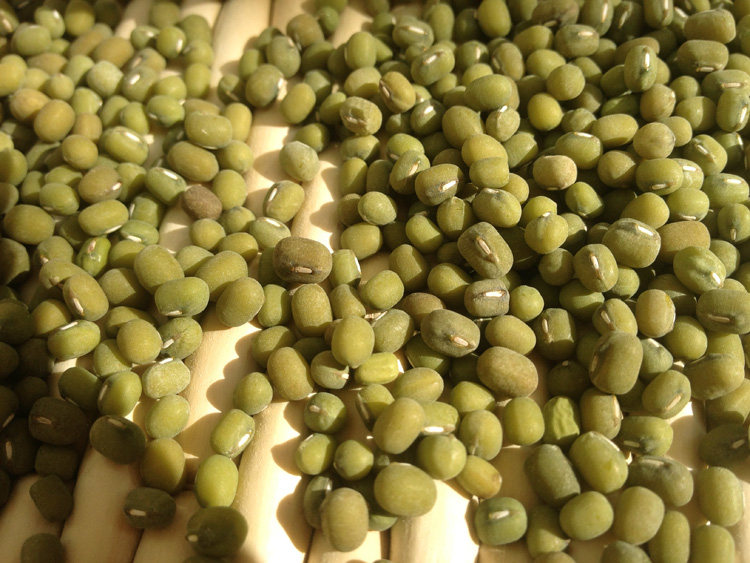 【毛绿豆】山东农家自种 笨绿豆小绿豆非明绿豆 薄皮易煮粮粥原料-mc