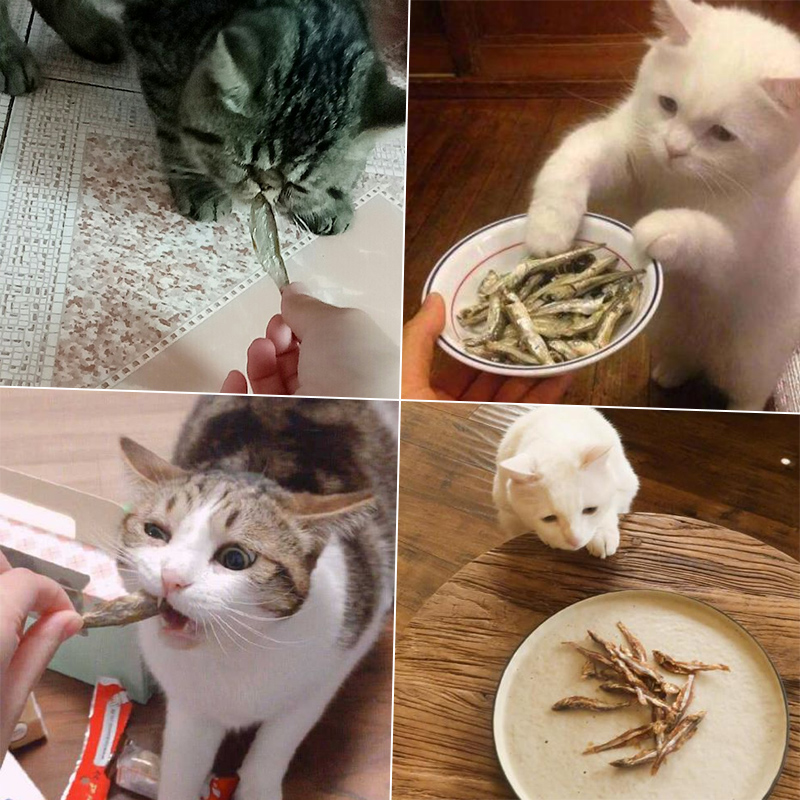 淡水无盐小鱼干猫零食猫用幼猫吃的鱼干喂猫咪猫粮营养增肥500g克
