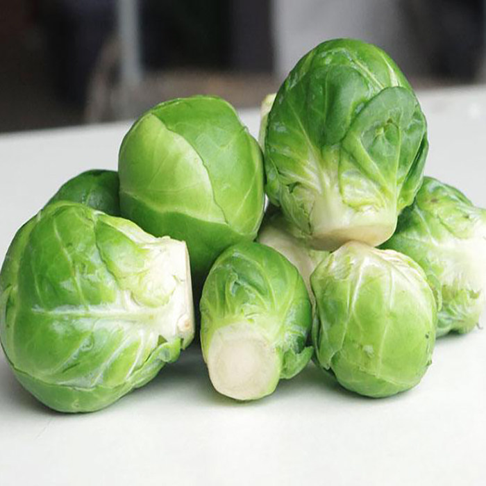 甘蓝新鲜蔬菜食用孢子小包包心菜500克其它