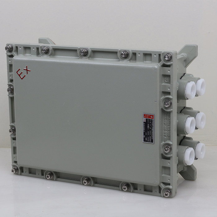 防爆配电箱仪表可视视窗监控电源其它