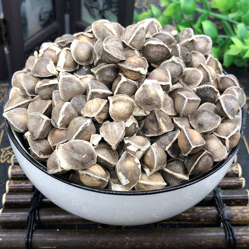 辣木籽果100克以上木子旗舰店新鲜非印印度野生辣木籽