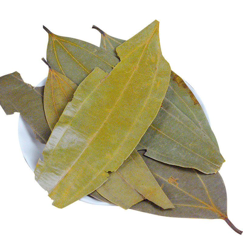 大桂叶500克正品品包肉桂叶大月桂月桂树树叶香桂叶花椒