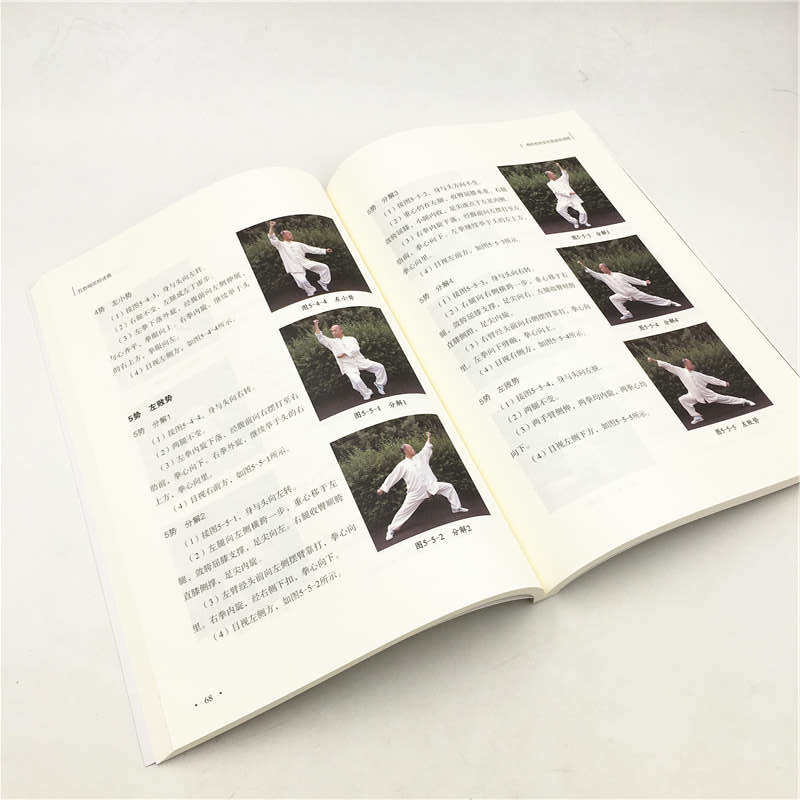 基本桩步练法基本套路动作说明 成拳学练图例简介学练五势梅花桩方法