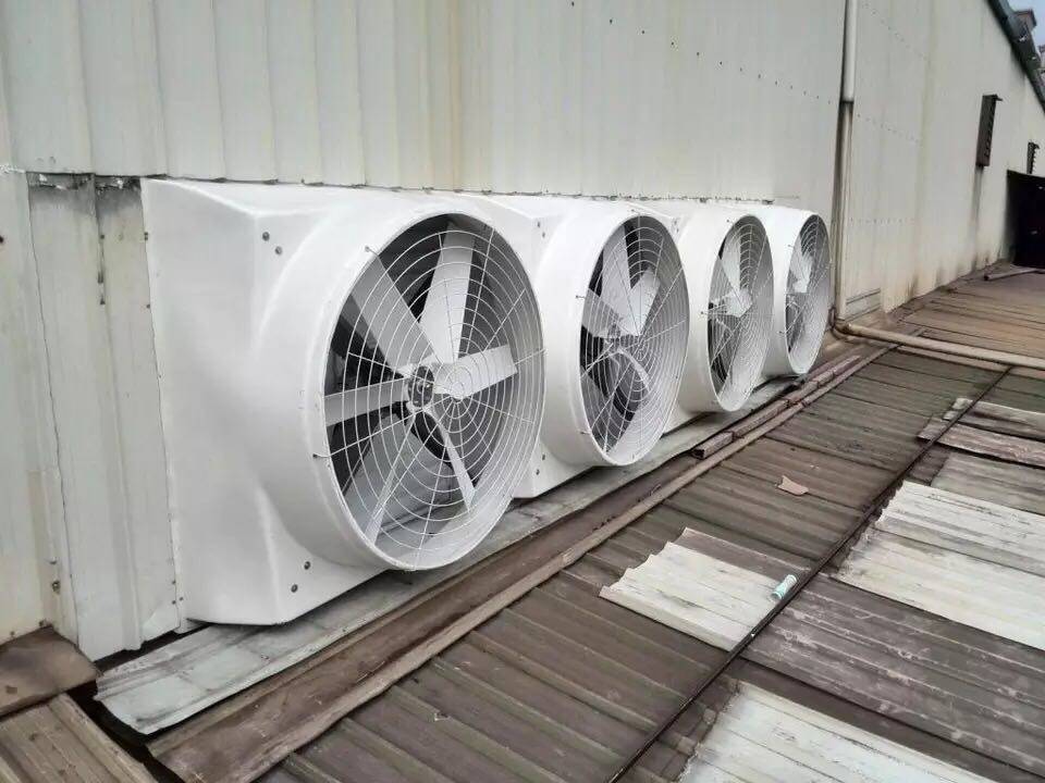 风机玻璃钢负压防腐工业排风扇畜牧养殖矿场车间大功率室内新风系统