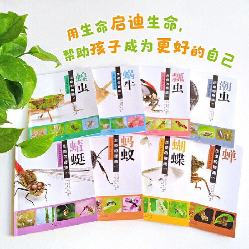 生命奇迹8册自然自然观观察摄影科普童书科普百科