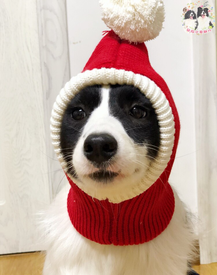 圣诞新年帽子宠物大中小型大狗现货秒发帽子