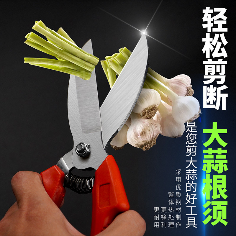 大蒜蒜头神器剪刀专用剪根农用番茄头剪洋葱园艺剪