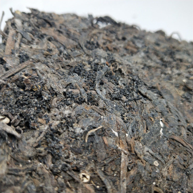 茶砖六堡虫屎陈年野生砖茶2008年龙珠广西梧州六堡茶