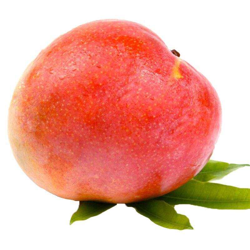 9斤贵妃海南热带水果当季新鲜净重新店芒果苹果芒果