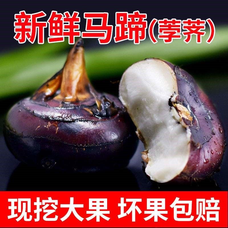 马蹄广西荸荠大果新鲜包邮果带马蹄莲水果葧荠地荸荠