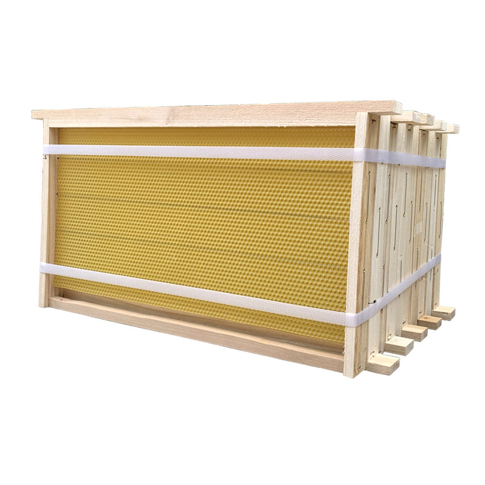 成品巢框优质杉木中蜂意蜂巢脾巢基蜂巢成品带框一体巢础养蜂工具