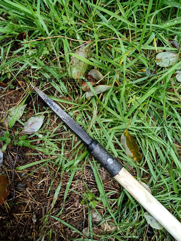 户外驴友 登山杖 杖头杖尖一体高碳钢硬锻打徒步越野爬山防身探险