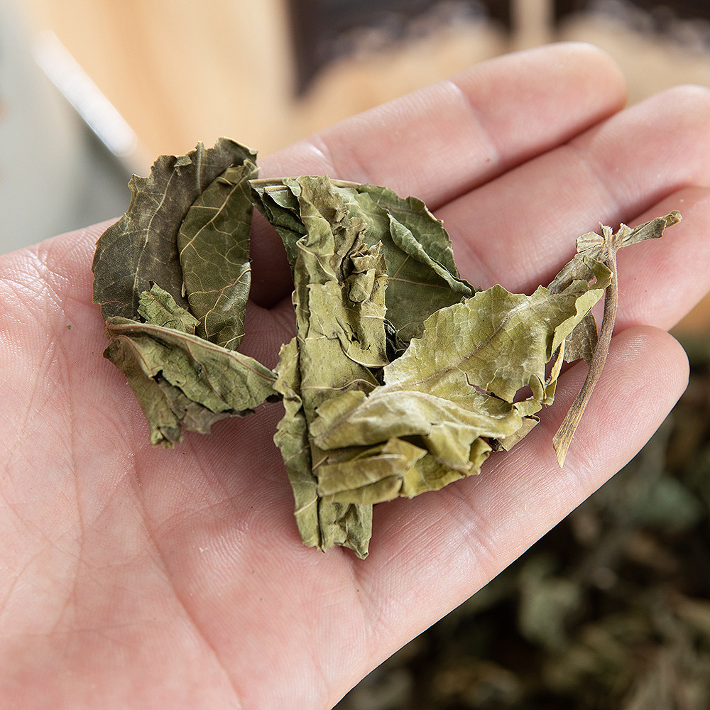 桑叶中药材野生新鲜散装干货500g桑叶