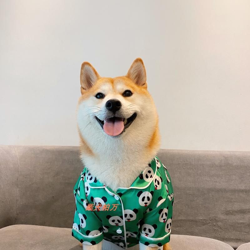 万同狗狗衣服秋冬柴犬法斗家居服睡衣潮牌宠物宠物服装