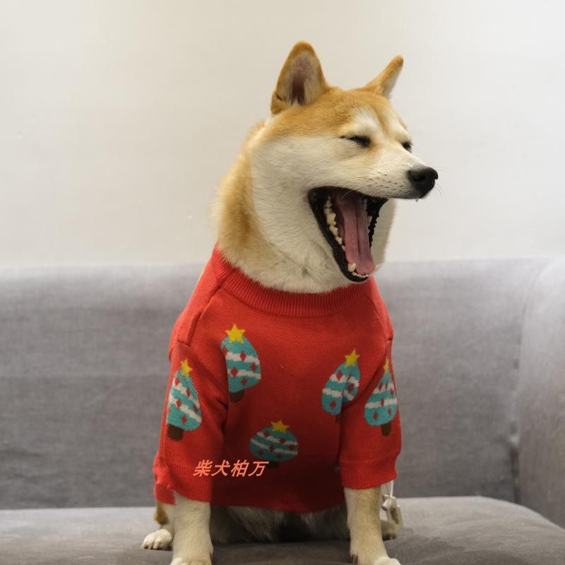 万同潮牌柴犬衣服网红冬装宠物可爱圣诞新年狗宠物服装