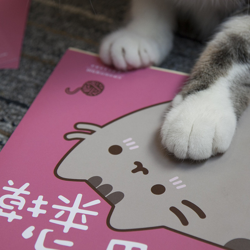 【赠贴纸及明信片】正版 喵呜来摸 胖吉猫 i am pusheen the cat