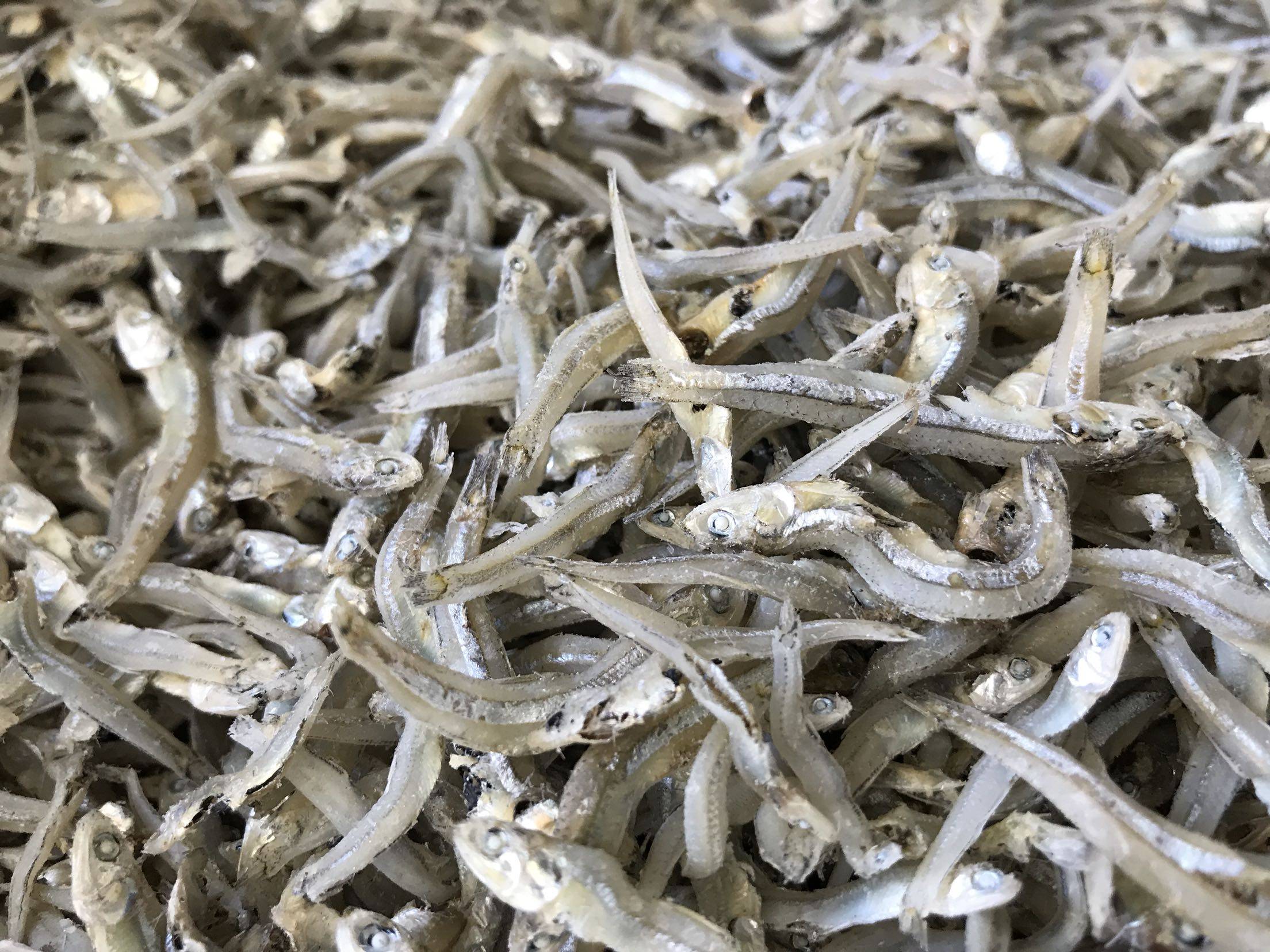 干货小鱼250g自晒海鱼公鱼咸鱼海鲜海产品水产鱼干