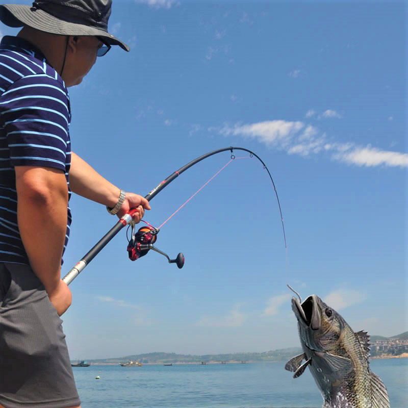 碳素大物鱼竿海竿抛竿巨物甩杆长节远投竿裸杆超硬3.9全套装5.4米 - j