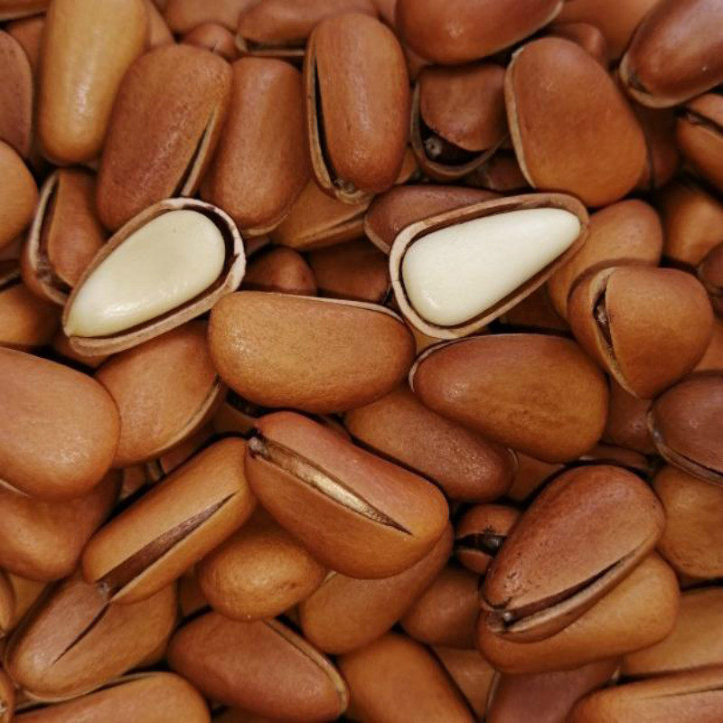 新货野生东北特大松子500克包邮散装2斤5斤松子