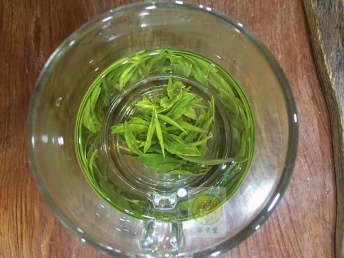 高山茶茶包茶散东白湖诸暨山茶特级斯宅现货明前特色产区绿茶