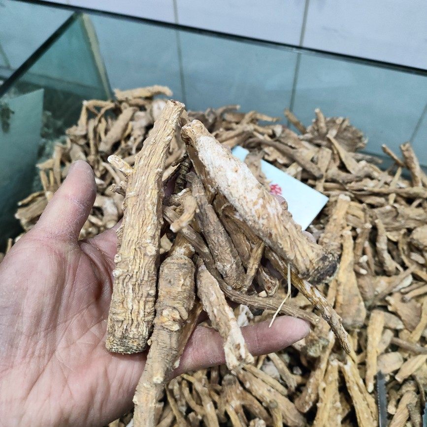 雪参人参西藏滋补品250克特产雪人玉人血参正品其他药食同源食品