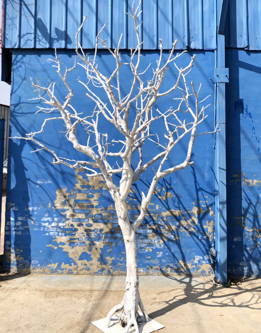 树枝干枝树干白色许愿摆件枯树实木天然造型仿真绿植