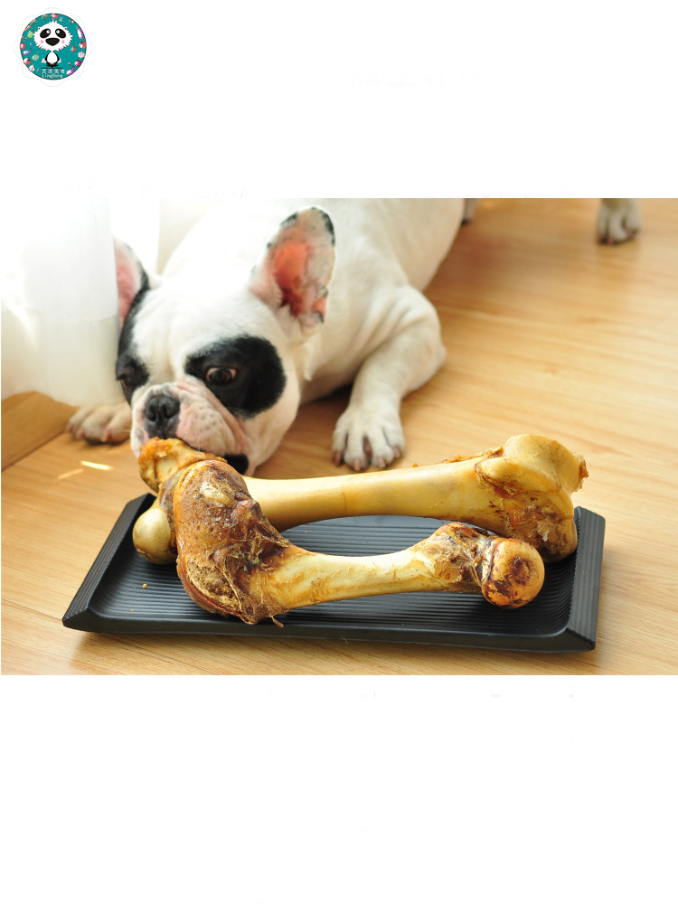 小泰迪狗能吃骨头吗除了软骨，何骨头都有危险