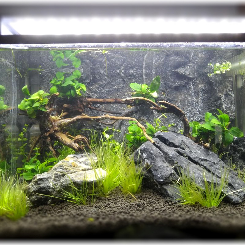 黄岩石背景墙箱龟缸爬虫石爬虫青龙3d立体造景