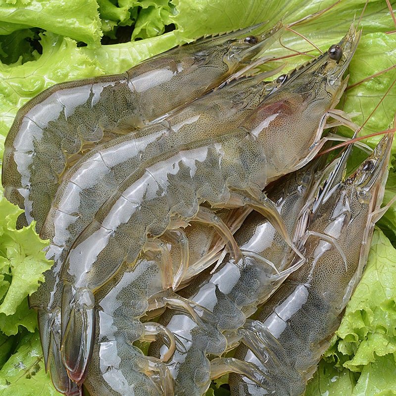 活虾鲜活带箱5斤青岛大虾基围冷冻对虾青虾活虾