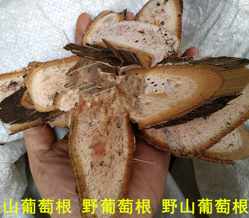 中药材 野葡萄藤 500g 野生 正品 干葡萄根 刺葡萄千斤藤山葡萄根