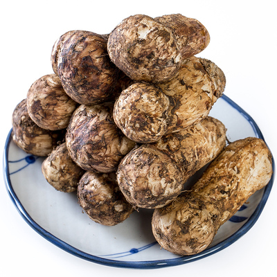 成年3期云南特产茸耳香格里拉野生松耸500g新鲜松茸