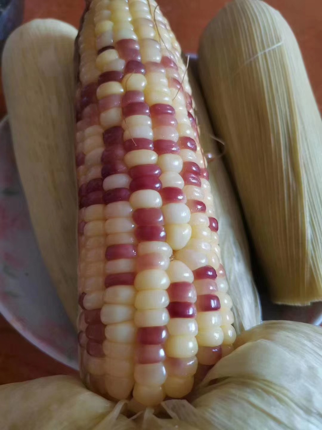 玉米梅州大埔富硒西河甜糯新鲜糯米包粟玉米棒其它