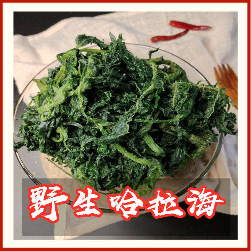 哈拉海野生速冻山野菜内蒙古赤峰克旗野菜东北饭店腌制