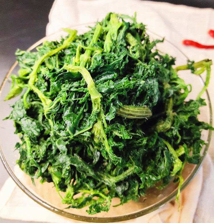 哈拉海野生速冻山野菜内蒙古赤峰克旗野菜东北饭店腌制